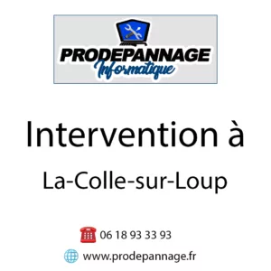 Dépannage informatique à la colle sur loup